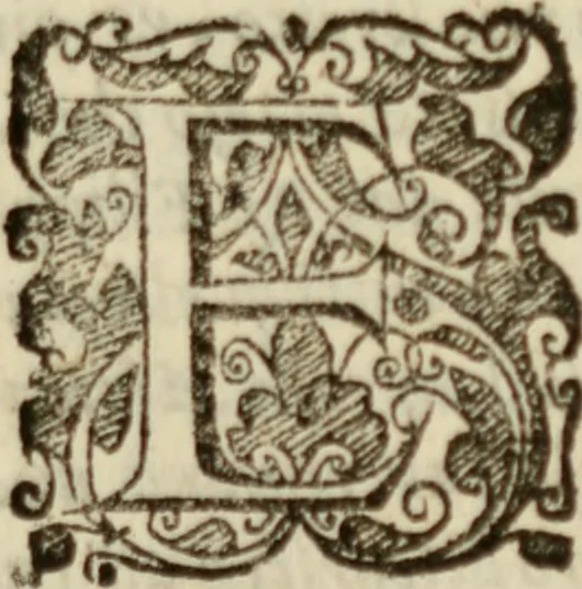 An illustration from Tesoro politico in cvi si contengono relationi : istruttioni, trattati, & varij discorsi, pertinenti alla perfetta intelligenza della ragion di stato. Et all'intiera cognitione de gl'interessi, & dipendenze de' più gran prencipi, & signori del mondo. Diviso in tre parti, 1602, leaf 172