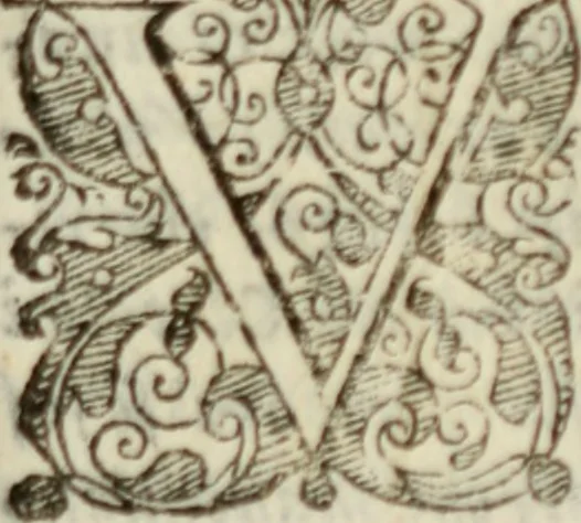 An illustration from Tesoro politico in cvi si contengono relationi : istruttioni, trattati, & varij discorsi, pertinenti alla perfetta intelligenza della ragion di stato. Et all'intiera cognitione de gl'interessi, & dipendenze de' più gran prencipi, & signori del mondo. Diviso in tre parti, 1602, leaf 212