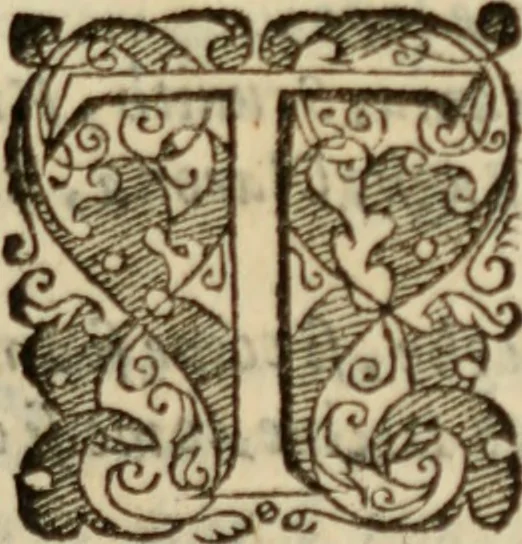 An illustration from Tesoro politico in cvi si contengono relationi : istruttioni, trattati, & varij discorsi, pertinenti alla perfetta intelligenza della ragion di stato. Et all'intiera cognitione de gl'interessi, & dipendenze de' più gran prencipi, & signori del mondo. Diviso in tre parti, 1602, leaf 232