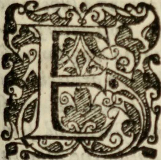 An illustration from Tesoro politico in cvi si contengono relationi : istruttioni, trattati, & varij discorsi, pertinenti alla perfetta intelligenza della ragion di stato. Et all'intiera cognitione de gl'interessi, & dipendenze de' più gran prencipi, & signori del mondo. Diviso in tre parti, 1602, leaf 34