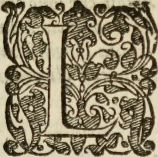 An illustration from Tesoro politico in cvi si contengono relationi : istruttioni, trattati, & varij discorsi, pertinenti alla perfetta intelligenza della ragion di stato. Et all'intiera cognitione de gl'interessi, & dipendenze de' più gran prencipi, & signori del mondo. Diviso in tre parti, 1602, leaf 358