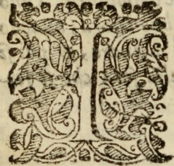 An illustration from Tesoro politico in cvi si contengono relationi : istruttioni, trattati, & varij discorsi, pertinenti alla perfetta intelligenza della ragion di stato. Et all'intiera cognitione de gl'interessi, & dipendenze de' più gran prencipi, & signori del mondo. Diviso in tre parti, 1602, leaf 369