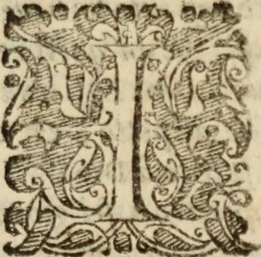 An illustration from Tesoro politico in cvi si contengono relationi : istruttioni, trattati, & varij discorsi, pertinenti alla perfetta intelligenza della ragion di stato. Et all'intiera cognitione de gl'interessi, & dipendenze de' più gran prencipi, & signori del mondo. Diviso in tre parti, 1602, leaf 386