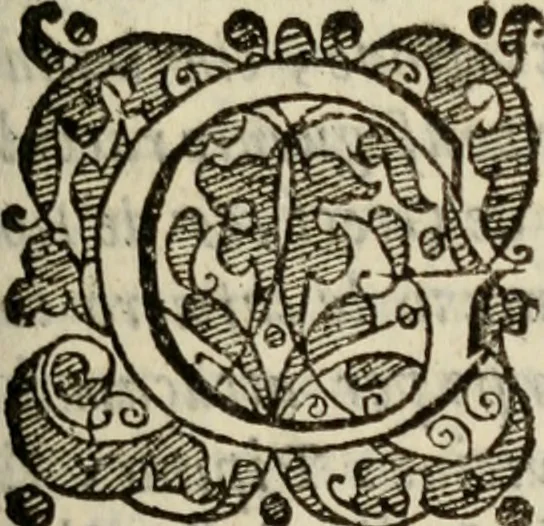 An illustration from Tesoro politico in cvi si contengono relationi : istruttioni, trattati, & varij discorsi, pertinenti alla perfetta intelligenza della ragion di stato. Et all'intiera cognitione de gl'interessi, & dipendenze de' più gran prencipi, & signori del mondo. Diviso in tre parti, 1602, leaf 42