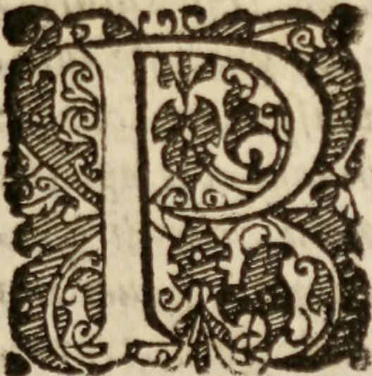 An illustration from Tesoro politico in cvi si contengono relationi : istruttioni, trattati, & varij discorsi, pertinenti alla perfetta intelligenza della ragion di stato. Et all'intiera cognitione de gl'interessi, & dipendenze de' più gran prencipi, & signori del mondo. Diviso in tre parti, 1602, leaf 454