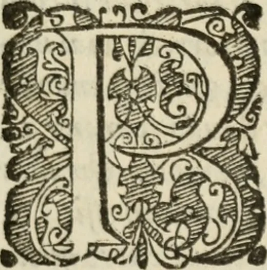 An illustration from Tesoro politico in cvi si contengono relationi : istruttioni, trattati, & varij discorsi, pertinenti alla perfetta intelligenza della ragion di stato. Et all'intiera cognitione de gl'interessi, & dipendenze de' più gran prencipi, & signori del mondo. Diviso in tre parti, 1602, leaf 470