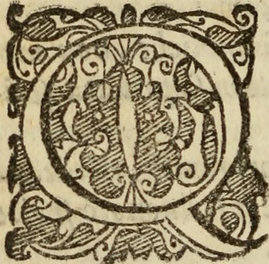 An illustration from Tesoro politico in cvi si contengono relationi : istruttioni, trattati, & varij discorsi, pertinenti alla perfetta intelligenza della ragion di stato. Et all'intiera cognitione de gl'interessi, & dipendenze de' più gran prencipi, & signori del mondo. Diviso in tre parti, 1602, leaf 485