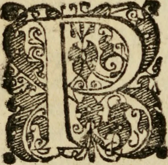An illustration from Tesoro politico in cvi si contengono relationi : istruttioni, trattati, & varij discorsi, pertinenti alla perfetta intelligenza della ragion di stato. Et all'intiera cognitione de gl'interessi, & dipendenze de' più gran prencipi, & signori del mondo. Diviso in tre parti, 1602, leaf 491