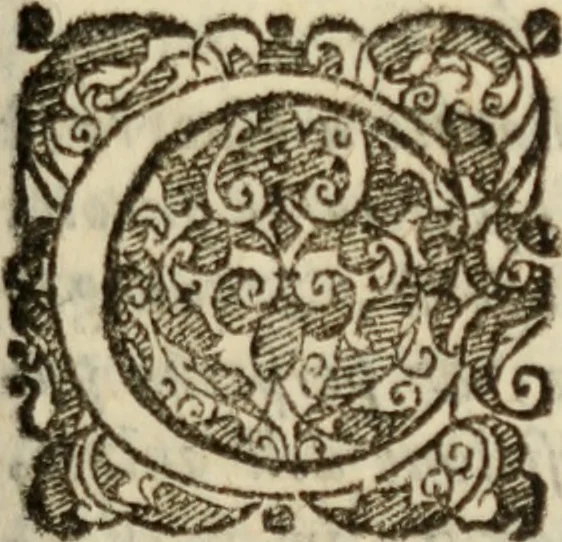 An illustration from Tesoro politico in cvi si contengono relationi : istruttioni, trattati, & varij discorsi, pertinenti alla perfetta intelligenza della ragion di stato. Et all'intiera cognitione de gl'interessi, & dipendenze de' più gran prencipi, & signori del mondo. Diviso in tre parti, 1602, leaf 494