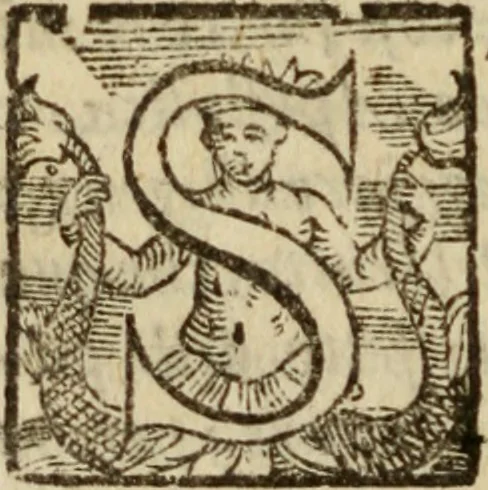 An illustration from Tesoro politico in cvi si contengono relationi : istruttioni, trattati, & varij discorsi, pertinenti alla perfetta intelligenza della ragion di stato. Et all'intiera cognitione de gl'interessi, & dipendenze de' più gran prencipi, & signori del mondo. Diviso in tre parti, 1602, leaf 499
