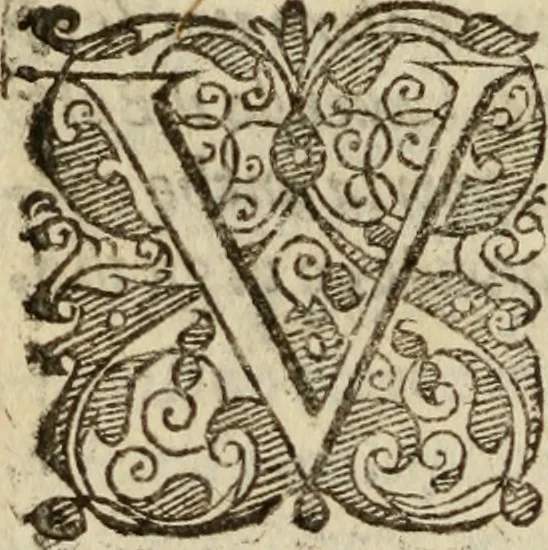 An illustration from Tesoro politico in cvi si contengono relationi : istruttioni, trattati, & varij discorsi, pertinenti alla perfetta intelligenza della ragion di stato. Et all'intiera cognitione de gl'interessi, & dipendenze de' più gran prencipi, & signori del mondo. Diviso in tre parti, 1602, leaf 523
