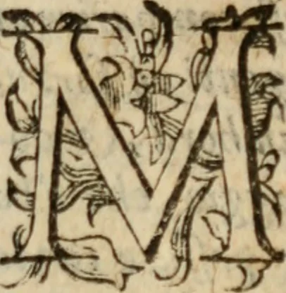 An illustration from Tesoro politico in cvi si contengono relationi : istruttioni, trattati, & varij discorsi, pertinenti alla perfetta intelligenza della ragion di stato. Et all'intiera cognitione de gl'interessi, & dipendenze de' più gran prencipi, & signori del mondo. Diviso in tre parti, 1602, leaf 542
