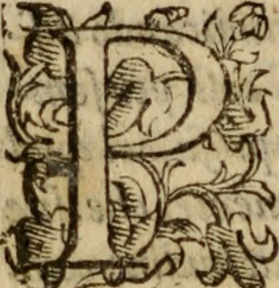 An illustration from Tesoro politico in cvi si contengono relationi : istruttioni, trattati, & varij discorsi, pertinenti alla perfetta intelligenza della ragion di stato. Et all'intiera cognitione de gl'interessi, & dipendenze de' più gran prencipi, & signori del mondo. Diviso in tre parti, 1602, leaf 555