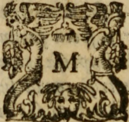 An illustration from Tesoro politico in cvi si contengono relationi : istruttioni, trattati, & varij discorsi, pertinenti alla perfetta intelligenza della ragion di stato. Et all'intiera cognitione de gl'interessi, & dipendenze de' più gran prencipi, & signori del mondo. Diviso in tre parti, 1602, leaf 557