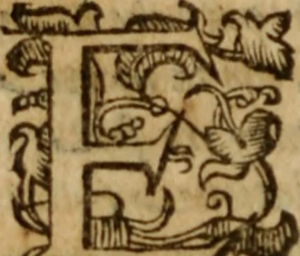 An illustration from Tesoro politico in cvi si contengono relationi : istruttioni, trattati, & varij discorsi, pertinenti alla perfetta intelligenza della ragion di stato. Et all'intiera cognitione de gl'interessi, & dipendenze de' più gran prencipi, & signori del mondo. Diviso in tre parti, 1602, leaf 565