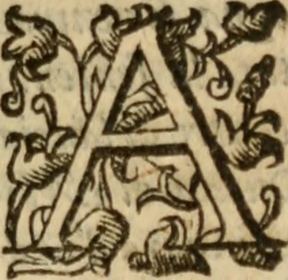 An illustration from Tesoro politico in cvi si contengono relationi : istruttioni, trattati, & varij discorsi, pertinenti alla perfetta intelligenza della ragion di stato. Et all'intiera cognitione de gl'interessi, & dipendenze de' più gran prencipi, & signori del mondo. Diviso in tre parti, 1602, leaf 578