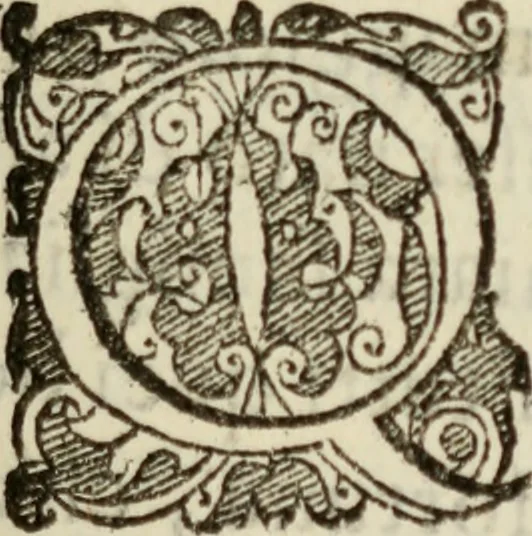 An illustration from Tesoro politico in cvi si contengono relationi : istruttioni, trattati, & varij discorsi, pertinenti alla perfetta intelligenza della ragion di stato. Et all'intiera cognitione de gl'interessi, & dipendenze de' più gran prencipi, & signori del mondo. Diviso in tre parti, 1602, leaf 6