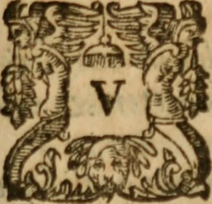 An illustration from Tesoro politico in cvi si contengono relationi : istruttioni, trattati, & varij discorsi, pertinenti alla perfetta intelligenza della ragion di stato. Et all'intiera cognitione de gl'interessi, & dipendenze de' più gran prencipi, & signori del mondo. Diviso in tre parti, 1602, leaf 654