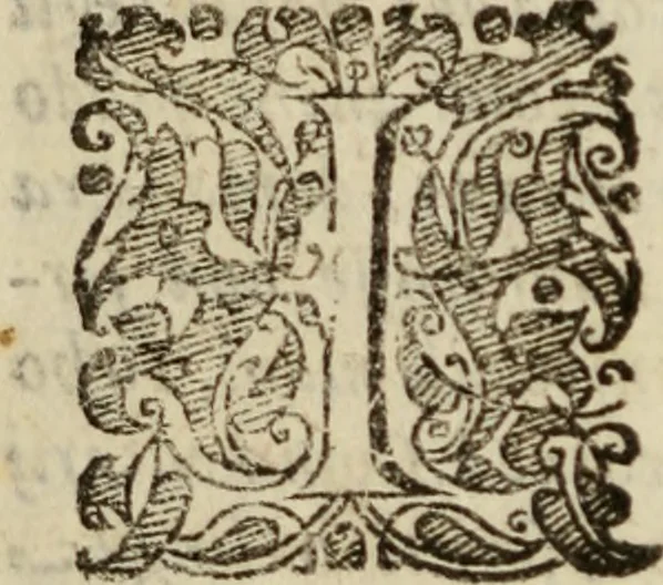 An illustration from Tesoro politico in cvi si contengono relationi : istruttioni, trattati, & varij discorsi, pertinenti alla perfetta intelligenza della ragion di stato. Et all'intiera cognitione de gl'interessi, & dipendenze de' più gran prencipi, & signori del mondo. Diviso in tre parti, 1602, leaf 67