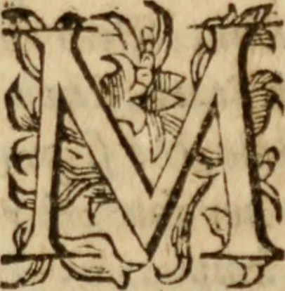 An illustration from Tesoro politico in cvi si contengono relationi : istruttioni, trattati, & varij discorsi, pertinenti alla perfetta intelligenza della ragion di stato. Et all'intiera cognitione de gl'interessi, & dipendenze de' più gran prencipi, & signori del mondo. Diviso in tre parti, 1602, leaf 678