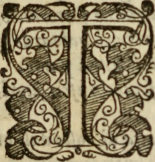 An illustration from Tesoro politico in cvi si contengono relationi : istruttioni, trattati, & varij discorsi, pertinenti alla perfetta intelligenza della ragion di stato. Et all'intiera cognitione de gl'interessi, & dipendenze de' più gran prencipi, & signori del mondo. Diviso in tre parti, 1602, leaf 87