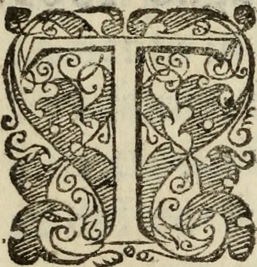 An illustration from Tesoro politico in cvi si contengono relationi : istruttioni, trattati, & varij discorsi, pertinenti alla perfetta intelligenza della ragion di stato. Et all'intiera cognitione de gl'interessi, & dipendenze de' più gran prencipi, & signori del mondo. Diviso in tre parti, 1602, leaf 9