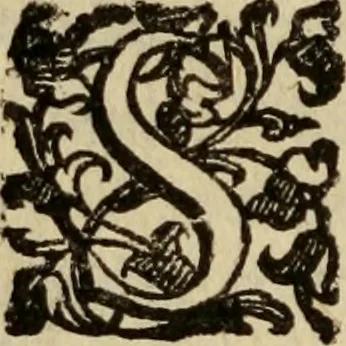 An illustration from Tesoro politico in cvi si contengono relationi : istruttioni, trattati, & varij discorsi, pertinenti alla perfetta intelligenza della ragion di stato. Et all'intiera cognitione de gl'interessi, & dipendenze de' più gran prencipi, & signori del mondo. Diviso in tre parti, 1602, leaf 113