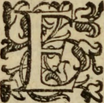 An illustration from Tesoro politico in cvi si contengono relationi : istruttioni, trattati, & varij discorsi, pertinenti alla perfetta intelligenza della ragion di stato. Et all'intiera cognitione de gl'interessi, & dipendenze de' più gran prencipi, & signori del mondo. Diviso in tre parti, 1602, leaf 139