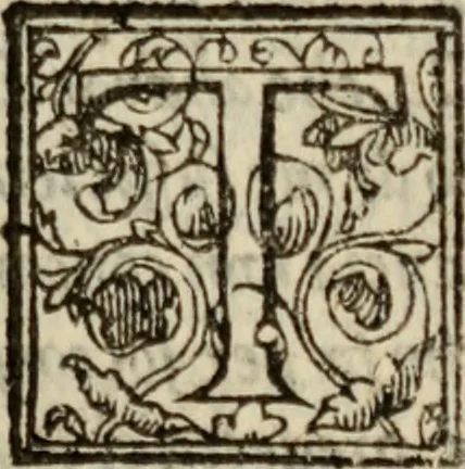 An illustration from Tesoro politico in cvi si contengono relationi : istruttioni, trattati, & varij discorsi, pertinenti alla perfetta intelligenza della ragion di stato. Et all'intiera cognitione de gl'interessi, & dipendenze de' più gran prencipi, & signori del mondo. Diviso in tre parti, 1602, leaf 148