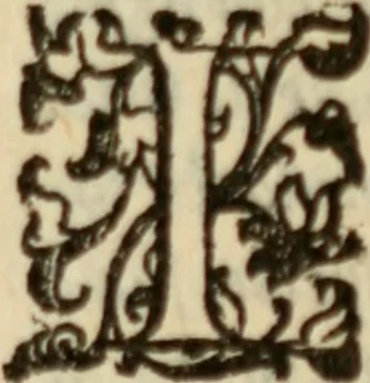 An illustration from Tesoro politico in cvi si contengono relationi : istruttioni, trattati, & varij discorsi, pertinenti alla perfetta intelligenza della ragion di stato. Et all'intiera cognitione de gl'interessi, & dipendenze de' più gran prencipi, & signori del mondo. Diviso in tre parti, 1602, leaf 210