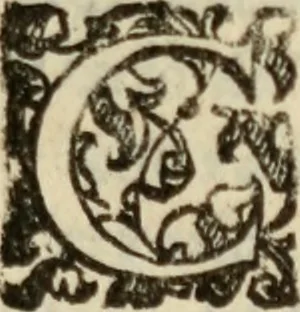 An illustration from Tesoro politico in cvi si contengono relationi : istruttioni, trattati, & varij discorsi, pertinenti alla perfetta intelligenza della ragion di stato. Et all'intiera cognitione de gl'interessi, & dipendenze de' più gran prencipi, & signori del mondo. Diviso in tre parti, 1602, leaf 232