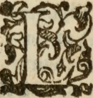 An illustration from Tesoro politico in cvi si contengono relationi : istruttioni, trattati, & varij discorsi, pertinenti alla perfetta intelligenza della ragion di stato. Et all'intiera cognitione de gl'interessi, & dipendenze de' più gran prencipi, & signori del mondo. Diviso in tre parti, 1602, leaf 276