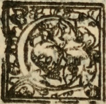 An illustration from Tesoro politico in cvi si contengono relationi : istruttioni, trattati, & varij discorsi, pertinenti alla perfetta intelligenza della ragion di stato. Et all'intiera cognitione de gl'interessi, & dipendenze de' più gran prencipi, & signori del mondo. Diviso in tre parti, 1602, leaf 310