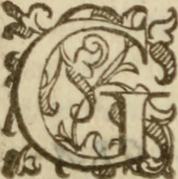 An illustration from Tesoro politico in cvi si contengono relationi : istruttioni, trattati, & varij discorsi, pertinenti alla perfetta intelligenza della ragion di stato. Et all'intiera cognitione de gl'interessi, & dipendenze de' più gran prencipi, & signori del mondo. Diviso in tre parti, 1602, leaf 317