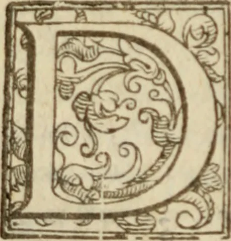An illustration from Tesoro politico in cvi si contengono relationi : istruttioni, trattati, & varij discorsi, pertinenti alla perfetta intelligenza della ragion di stato. Et all'intiera cognitione de gl'interessi, & dipendenze de' più gran prencipi, & signori del mondo. Diviso in tre parti, 1602, leaf 321