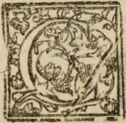 An illustration from Tesoro politico in cvi si contengono relationi : istruttioni, trattati, & varij discorsi, pertinenti alla perfetta intelligenza della ragion di stato. Et all'intiera cognitione de gl'interessi, & dipendenze de' più gran prencipi, & signori del mondo. Diviso in tre parti, 1602, leaf 331