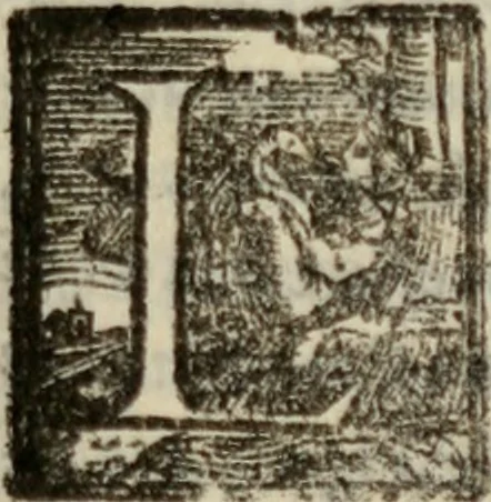An illustration from Tesoro politico in cvi si contengono relationi : istruttioni, trattati, & varij discorsi, pertinenti alla perfetta intelligenza della ragion di stato. Et all'intiera cognitione de gl'interessi, & dipendenze de' più gran prencipi, & signori del mondo. Diviso in tre parti, 1602, leaf 410