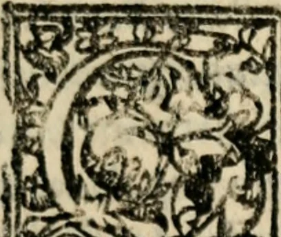 An illustration from Tesoro politico in cvi si contengono relationi : istruttioni, trattati, & varij discorsi, pertinenti alla perfetta intelligenza della ragion di stato. Et all'intiera cognitione de gl'interessi, & dipendenze de' più gran prencipi, & signori del mondo. Diviso in tre parti, 1602, leaf 48