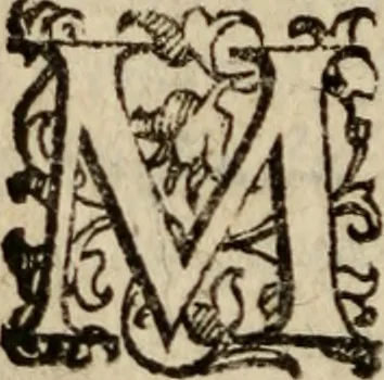 An illustration from Tesoro politico in cvi si contengono relationi : istruttioni, trattati, & varij discorsi, pertinenti alla perfetta intelligenza della ragion di stato. Et all'intiera cognitione de gl'interessi, & dipendenze de' più gran prencipi, & signori del mondo. Diviso in tre parti, 1602, leaf 533