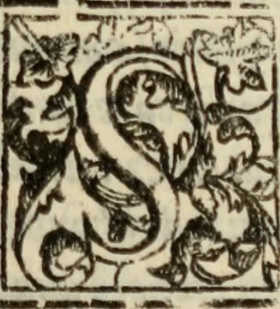 An illustration from Tesoro politico in cvi si contengono relationi : istruttioni, trattati, & varij discorsi, pertinenti alla perfetta intelligenza della ragion di stato. Et all'intiera cognitione de gl'interessi, & dipendenze de' più gran prencipi, & signori del mondo. Diviso in tre parti, 1602, leaf 560