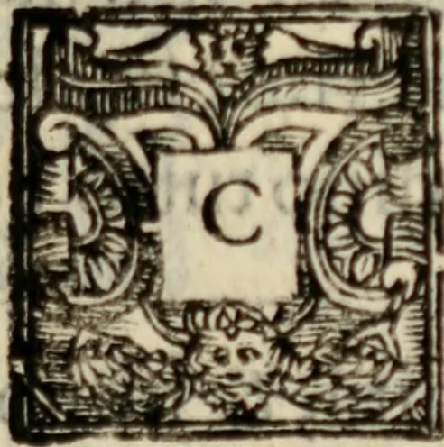 An illustration from Tesoro politico in cvi si contengono relationi : istruttioni, trattati, & varij discorsi, pertinenti alla perfetta intelligenza della ragion di stato. Et all'intiera cognitione de gl'interessi, & dipendenze de' più gran prencipi, & signori del mondo. Diviso in tre parti, 1602, leaf 64