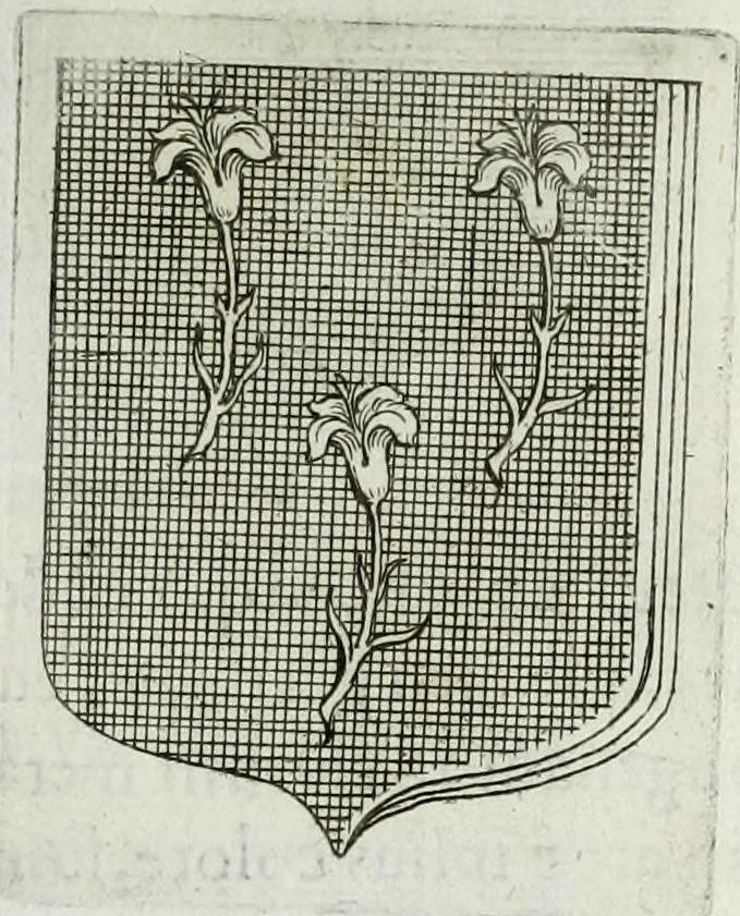 An illustration from Tesserae gentilitiae, 1638, leaf 501