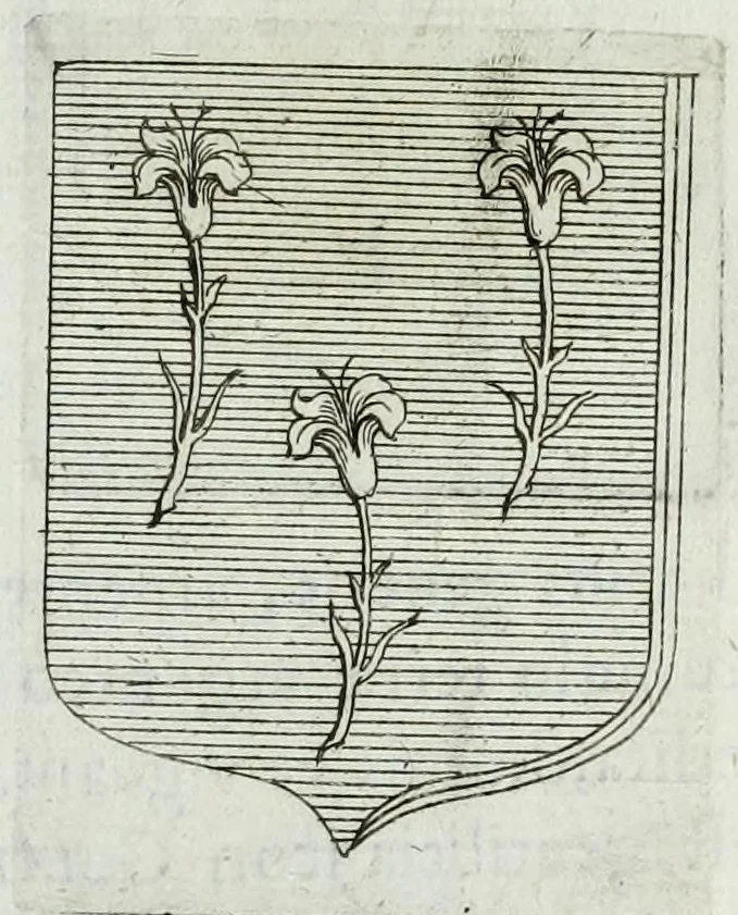An illustration from Tesserae gentilitiae, 1638, leaf 501