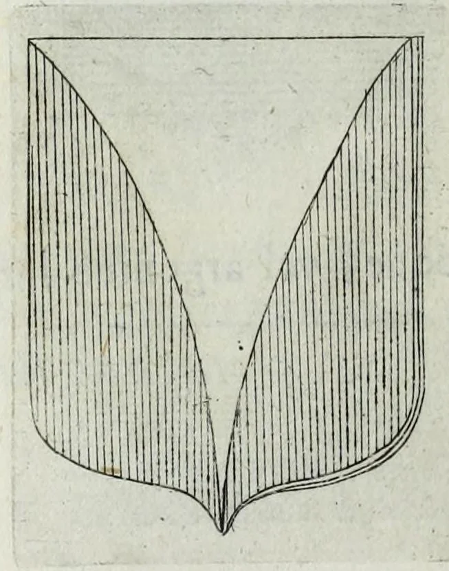 An illustration from Tesserae gentilitiae, 1638, leaf 98