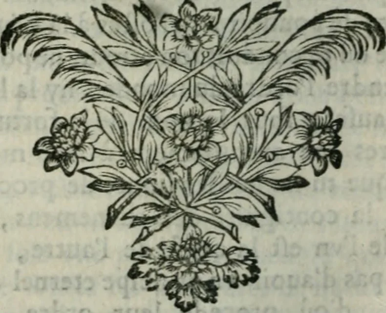 An illustration from Testament, ov conseils fideles d'vn bon pere à ses enfans, 1661, leaf 269