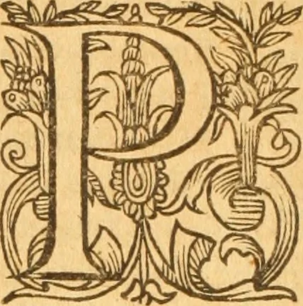 An illustration from Testamentvm Novvm : sive nouum foedus Iesu Christi, D.N. Cuius Graeco contextui respondent interpretationes duae: vna, vetus altera, Theodori Bezae, nunc quartò diligenter ab eo recognita. Eiusdem annotationes, quas itidem hac quarta edit. accuratè recognouit, & accessione non parua locupletauit: Vt docebunt asterisci margini appositi, necnon eius ad lectorem epistolium. Haec quarta editio, propter accessiones non paucas, duos indices nouos habet: quorum prior priori parti, posterior posteriori subiunctus est. Seorsvm edetvr recensio earundem in diuersis Noui Testamenti locis vocum (vulgò concordantiae Novi Testamenti) cui etiam operam multum lectori profuturam idem Theodorus Beza & quidam alij impenderunt, 1588, leaf 1015