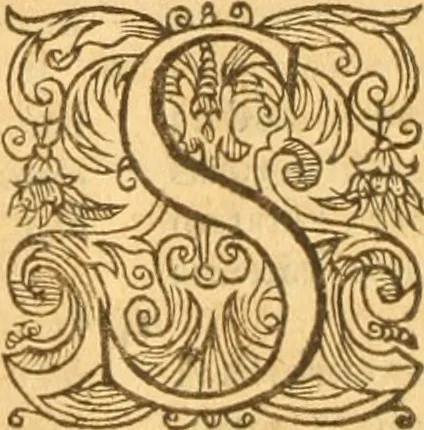 An illustration from Testamentvm Novvm : sive nouum foedus Iesu Christi, D.N. Cuius Graeco contextui respondent interpretationes duae: vna, vetus altera, Theodori Bezae, nunc quartò diligenter ab eo recognita. Eiusdem annotationes, quas itidem hac quarta edit. accuratè recognouit, & accessione non parua locupletauit: Vt docebunt asterisci margini appositi, necnon eius ad lectorem epistolium. Haec quarta editio, propter accessiones non paucas, duos indices nouos habet: quorum prior priori parti, posterior posteriori subiunctus est. Seorsvm edetvr recensio earundem in diuersis Noui Testamenti locis vocum (vulgò concordantiae Novi Testamenti) cui etiam operam multum lectori profuturam idem Theodorus Beza & quidam alij impenderunt, 1588, leaf 1033