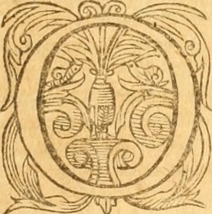 An illustration from Testamentvm Novvm : sive nouum foedus Iesu Christi, D.N. Cuius Graeco contextui respondent interpretationes duae: vna, vetus altera, Theodori Bezae, nunc quartò diligenter ab eo recognita. Eiusdem annotationes, quas itidem hac quarta edit. accuratè recognouit, & accessione non parua locupletauit: Vt docebunt asterisci margini appositi, necnon eius ad lectorem epistolium. Haec quarta editio, propter accessiones non paucas, duos indices nouos habet: quorum prior priori parti, posterior posteriori subiunctus est. Seorsvm edetvr recensio earundem in diuersis Noui Testamenti locis vocum (vulgò concordantiae Novi Testamenti) cui etiam operam multum lectori profuturam idem Theodorus Beza & quidam alij impenderunt, 1588, leaf 1044