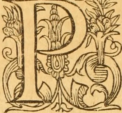 An illustration from Testamentvm Novvm : sive nouum foedus Iesu Christi, D.N. Cuius Graeco contextui respondent interpretationes duae: vna, vetus altera, Theodori Bezae, nunc quartò diligenter ab eo recognita. Eiusdem annotationes, quas itidem hac quarta edit. accuratè recognouit, & accessione non parua locupletauit: Vt docebunt asterisci margini appositi, necnon eius ad lectorem epistolium. Haec quarta editio, propter accessiones non paucas, duos indices nouos habet: quorum prior priori parti, posterior posteriori subiunctus est. Seorsvm edetvr recensio earundem in diuersis Noui Testamenti locis vocum (vulgò concordantiae Novi Testamenti) cui etiam operam multum lectori profuturam idem Theodorus Beza & quidam alij impenderunt, 1588, leaf 1061