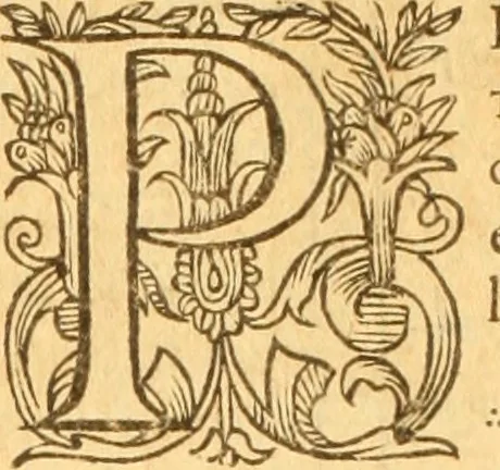 An illustration from Testamentvm Novvm : sive nouum foedus Iesu Christi, D.N. Cuius Graeco contextui respondent interpretationes duae: vna, vetus altera, Theodori Bezae, nunc quartò diligenter ab eo recognita. Eiusdem annotationes, quas itidem hac quarta edit. accuratè recognouit, & accessione non parua locupletauit: Vt docebunt asterisci margini appositi, necnon eius ad lectorem epistolium. Haec quarta editio, propter accessiones non paucas, duos indices nouos habet: quorum prior priori parti, posterior posteriori subiunctus est. Seorsvm edetvr recensio earundem in diuersis Noui Testamenti locis vocum (vulgò concordantiae Novi Testamenti) cui etiam operam multum lectori profuturam idem Theodorus Beza & quidam alij impenderunt, 1588, leaf 1063